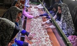 شکوفایی اقتصاد روستا، با راه اندازی ۱۹ «روستا بازار» در آذربایجان غربی