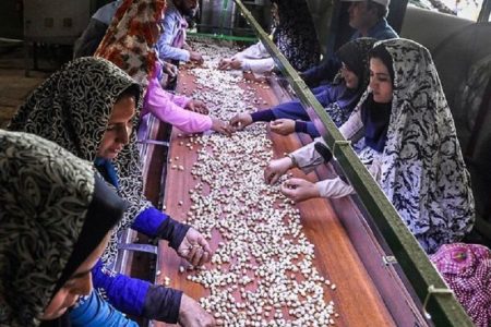 شکوفایی اقتصاد روستا، با راه اندازی ۱۹ «روستا بازار» در آذربایجان غربی
