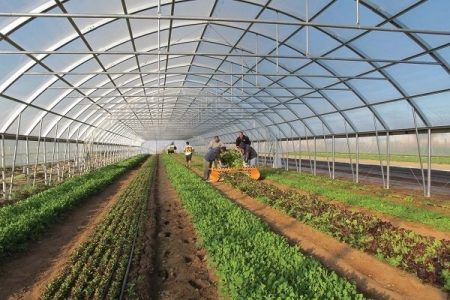 افتتاح و آغاز عملیات اجرایی ۱۲۲ طرح کشاورزی و تولیدی در آذربایجان‌غربی
