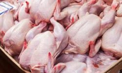 آغاز روند نزولی قیمت گوشت مرغ در آذربایجان‌غربی