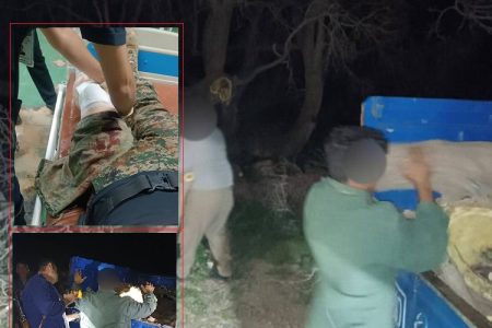 مصدومیت رئیس اداره محیط‌ زیست باروق در جریان صیانت از توت کهنسال